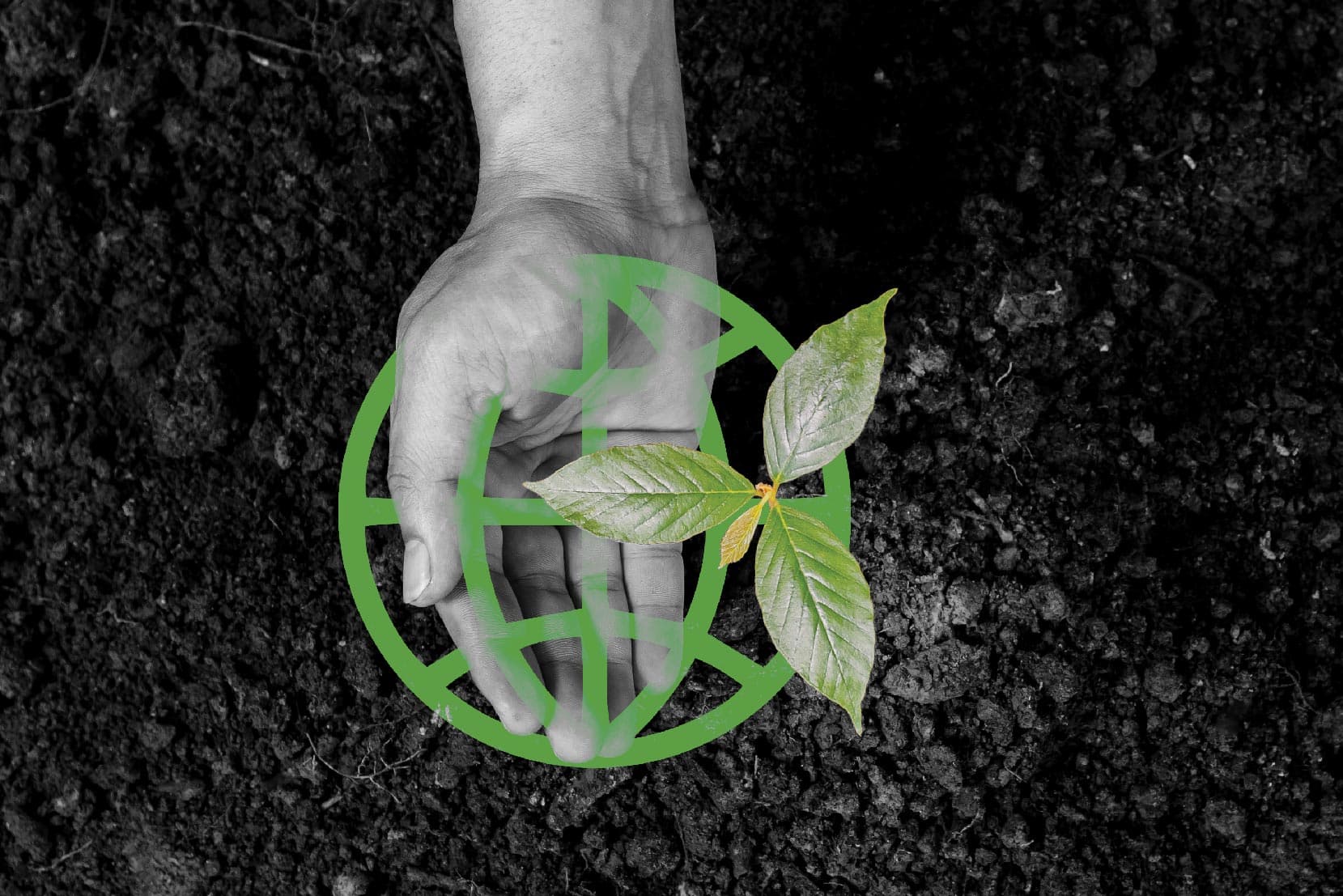 Mindfully Green